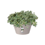 loft urban bowl 35cm warm grey
